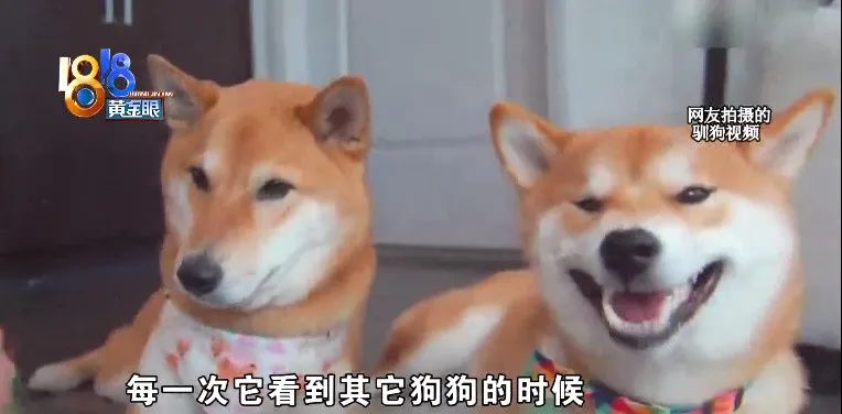 DƬ